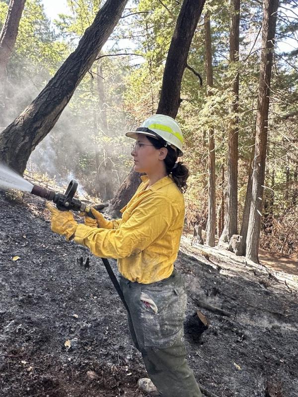Supporting the Central Coast Prescribed Burn Association Foresters TREX Collaboration